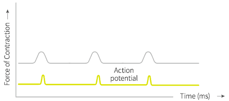 Sue West RN - kegel throne